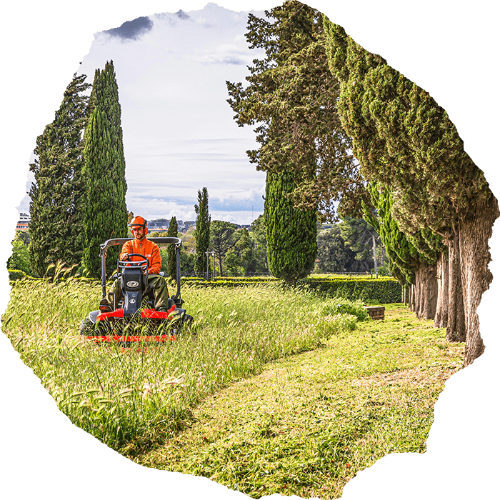 Albany tree service company